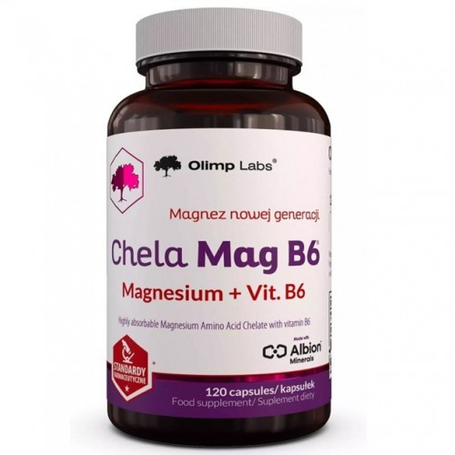 Chela-Mag B6, 120 caps (Магний бисглицинат)