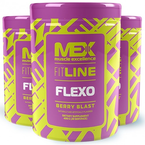 FLEXO (Коллаген II типа), 400g (Ягодный)