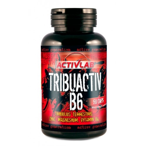 Tribuactiv B6, 90 caps