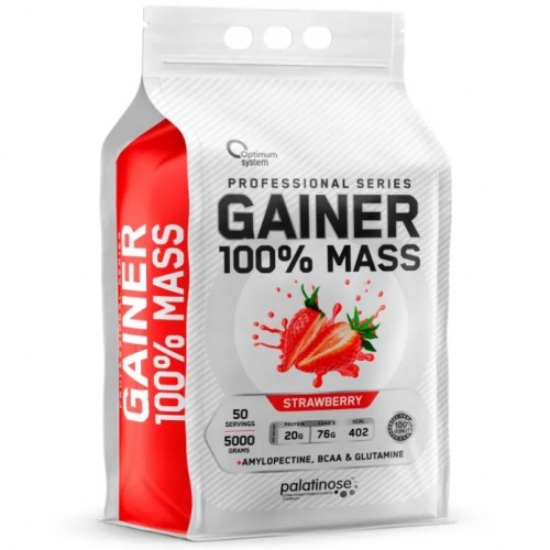100% Mass Gainer, 5000g (Клубника)