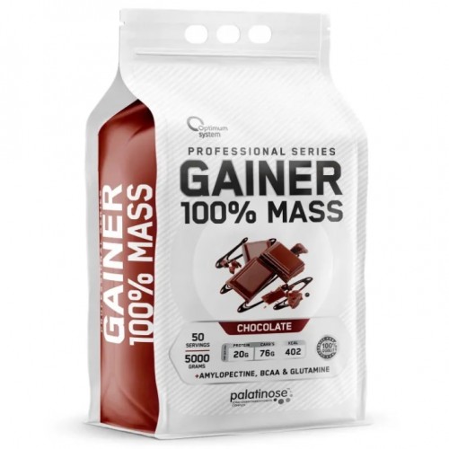 100% Mass Gainer, 5000g (Шоколад)