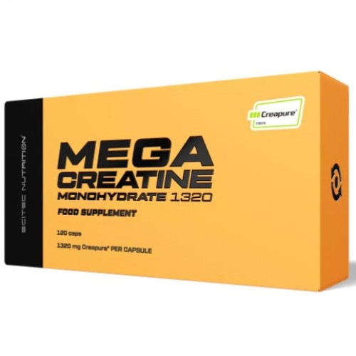 MEGA CREATINE MONOHYDRATE 1320, 120 caps