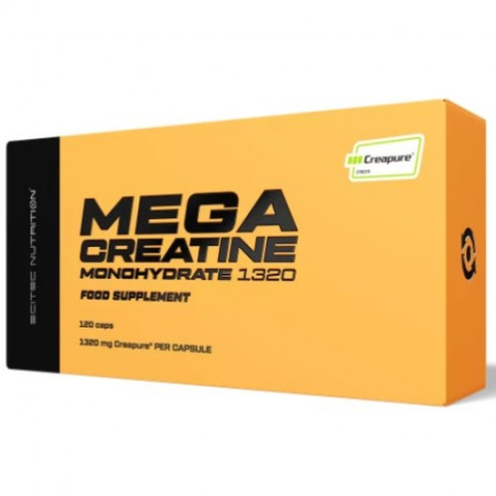 MEGA CREATINE MONOHYDRATE 1320, 120 caps