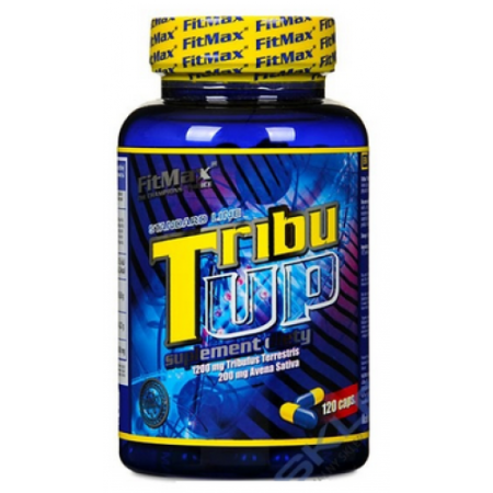 Tribu Up, 120 caps