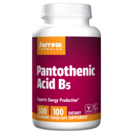 Pantothenic Acid B5, 500 mg, 100 Capsules